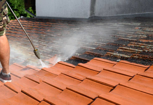 Best Pressure Washing Near Me  in Butte, AK